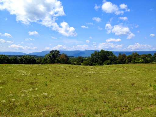 Wedding Venue «Faithbrooke Barn and Vineyards», reviews and photos, 267 Elgin Dr, Luray, VA 22835, USA