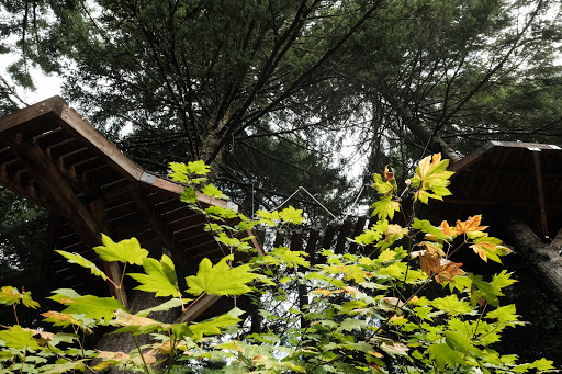 Campground «Camp Dakota», reviews and photos, 1843 Crooked Finger Rd NE, Scotts Mills, OR 97375, USA