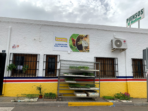 Piensos El Molino en Pechina, Almería