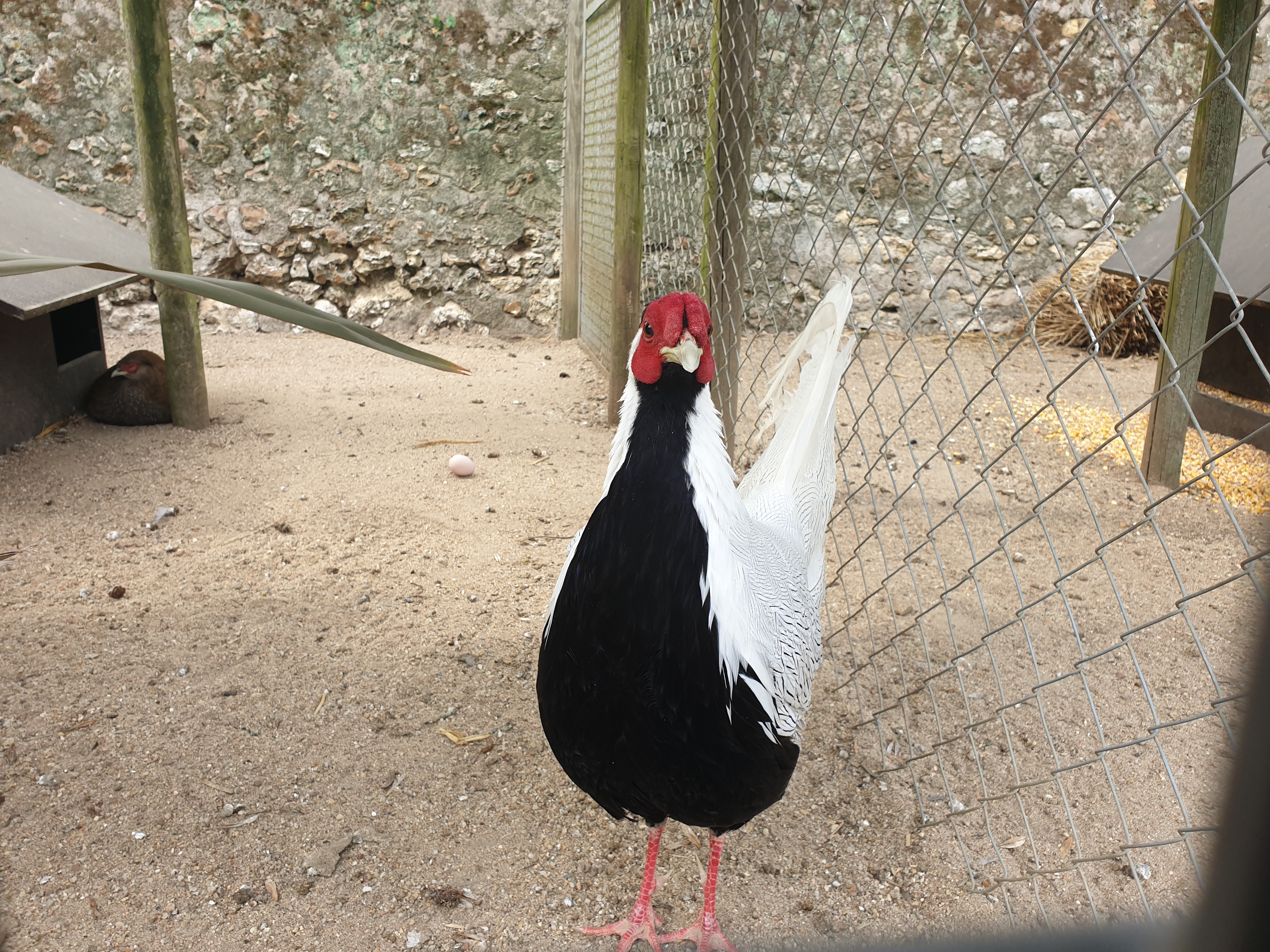 Photo n° 7 de l'avis de Arlindo.o fait le 30/04/2019 à 07:43