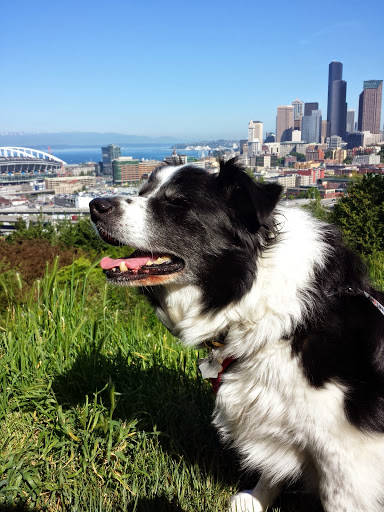 Park «Dr. Jose Rizal Park», reviews and photos, 1007 12th Ave S, Seattle, WA 98144, USA