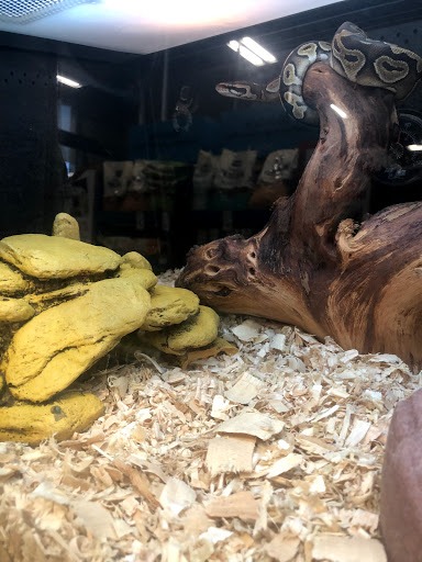 Pet Supply Store «PetSmart», reviews and photos, 14137 Rivergate Pkwy, Charlotte, NC 28273, USA