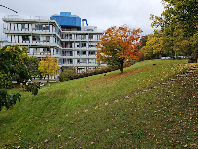 Rheinland-Pfälzische Technische Universität Kaiserslautern-Landau - Universität