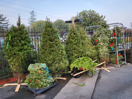 Hardware Store «Marin Ace Hardware», reviews and photos, 180 Merrydale Rd, San Rafael, CA 94903, USA