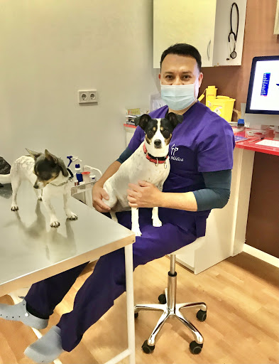 Pet Médica Veterinaria en Leganés
