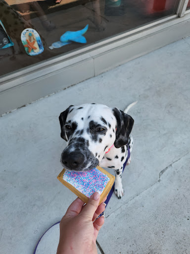 Pet Supply Store «3 Dogs and a Chick», reviews and photos, 130 Miracle Strip Pkwy SE, Fort Walton Beach, FL 32548, USA