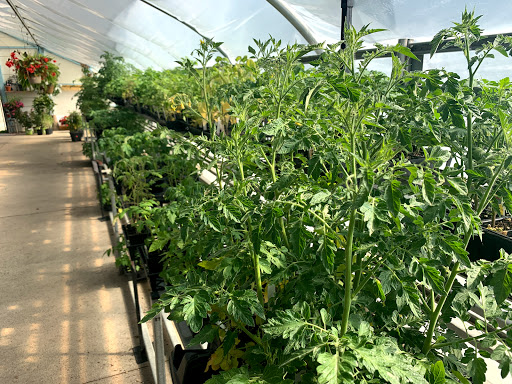 Pet Supply Store «Saybrook Feed & Garden», reviews and photos, 8023 Depot Rd, Ashtabula, OH 44004, USA