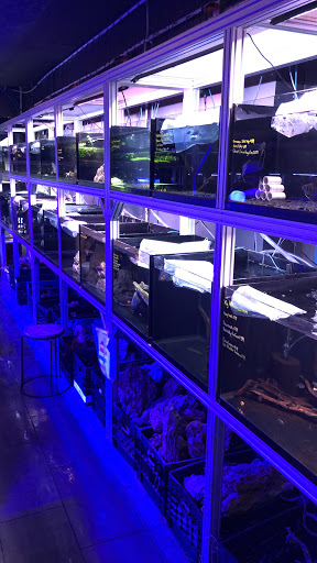 Tropical Fish Store «Manhattan Aquariums», reviews and photos, 522 W 37th St, New York, NY 10018, USA