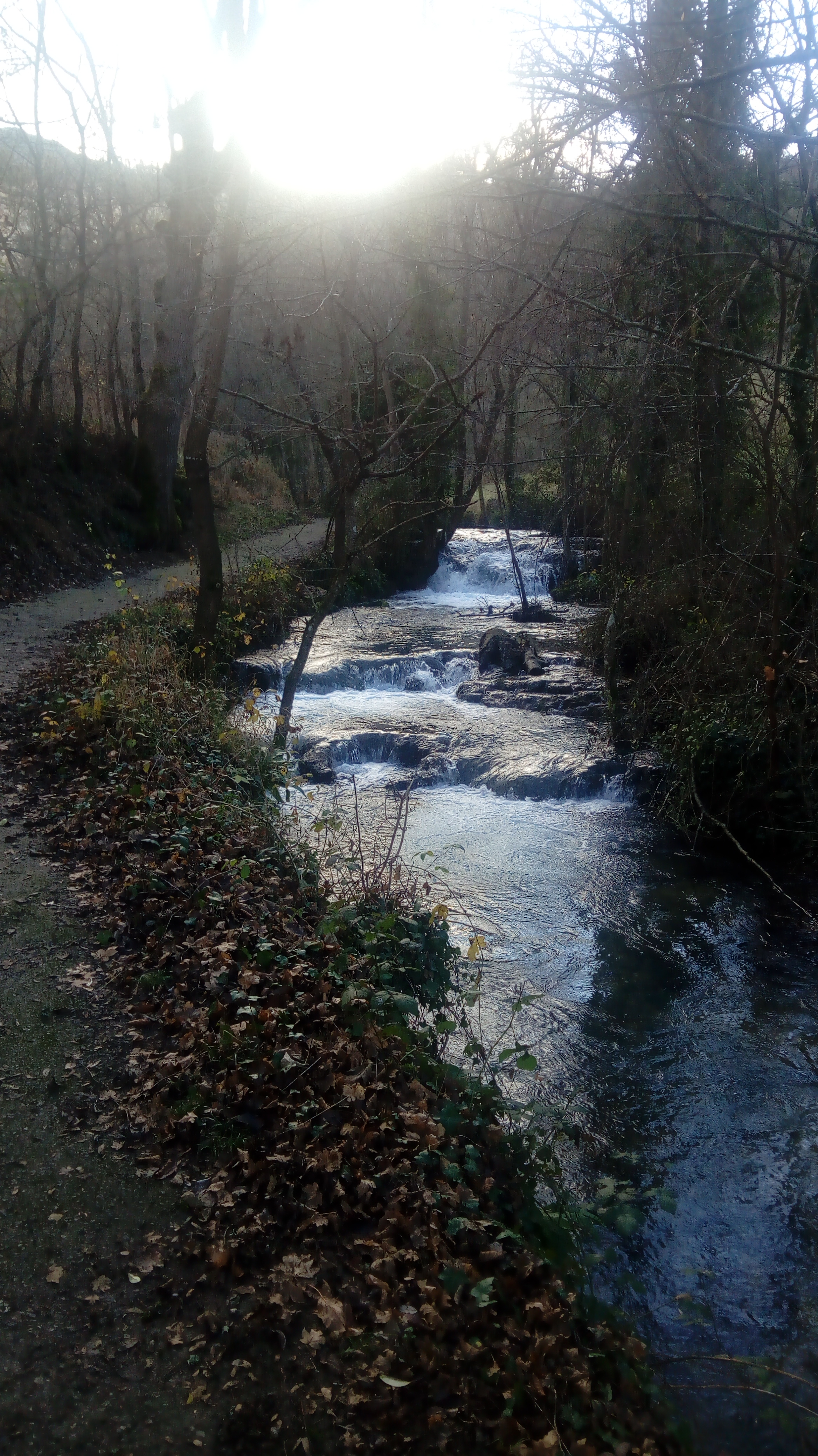 Photo n° 1 de l'avis de Christian.o fait le 24/12/2018 à 14:53