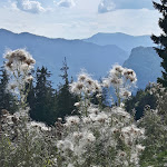 Photo n°8 de l'avis de Stefan.e fait le 14/09/2018 à 11:34 sur le  Steinbach à Ruhpolding