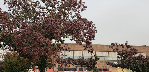 Movie Theater «UA Kaufman Astoria Cinemas 14 & RPX», reviews and photos, 35-30 38th St, Astoria, NY 11101, USA