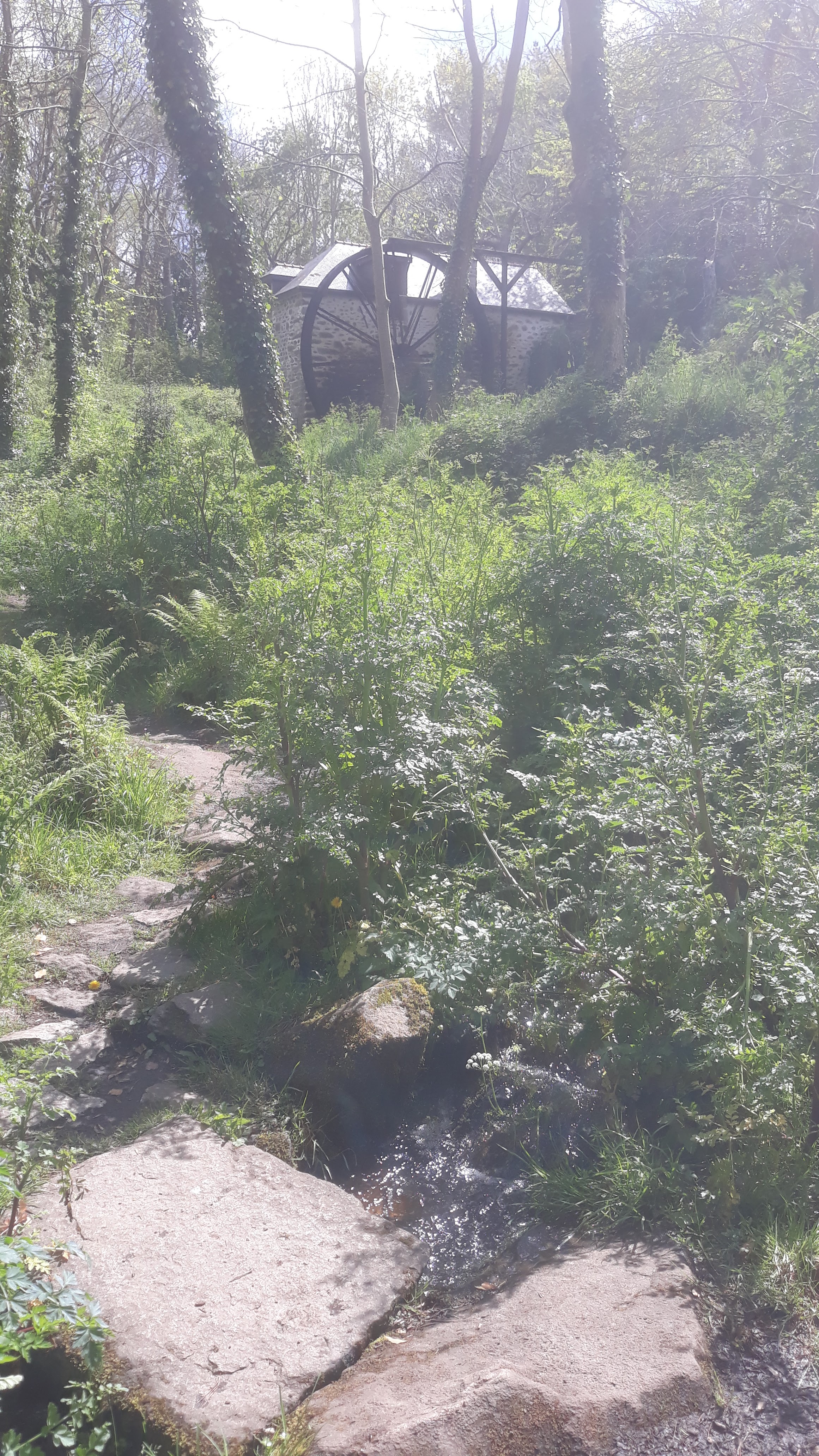 Photo n° 14 de l'avis de Cédric.l fait le 20/08/2018 à 22:40
