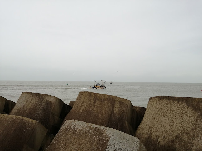 Beoordelingen van Kinepraktijk Vandamme Pieter in Oostende - Fysiotherapeut