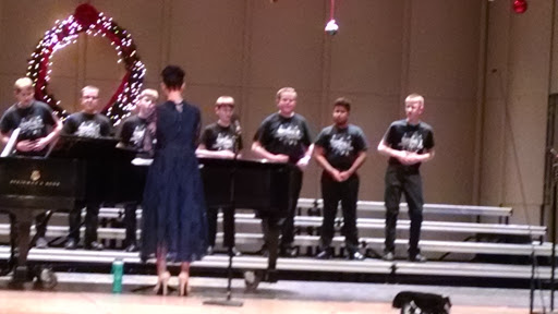 Performing Arts Theater «Medina Performing Arts Center», reviews and photos, 851 Weymouth Rd, Medina, OH 44256, USA