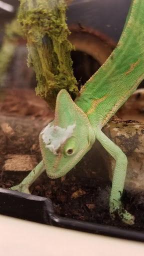 Pet Supply Store «PetSmart», reviews and photos, 3630 Peachtree Pkwy, Suwanee, GA 30024, USA