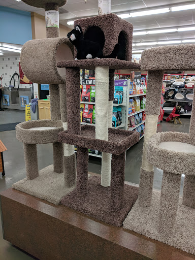 Pet Supply Store «Pet Food Express», reviews and photos, 383 S McDowell Blvd, Petaluma, CA 94954, USA