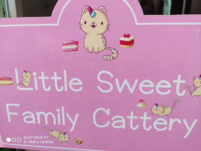 Little sweet family cattery