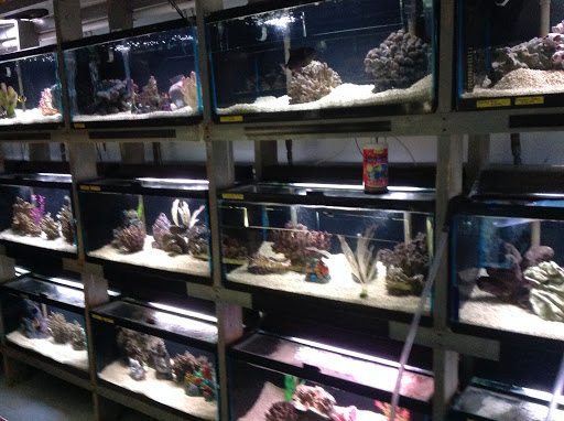 Tropical Fish Store «Marine Oasis», reviews and photos, 5340 W Ridge Rd, Spencerport, NY 14559, USA