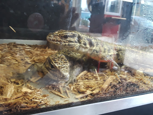 Pet Store «Critters & Co Pet Center», reviews and photos, 11042 WA-525, Clinton, WA 98236, USA