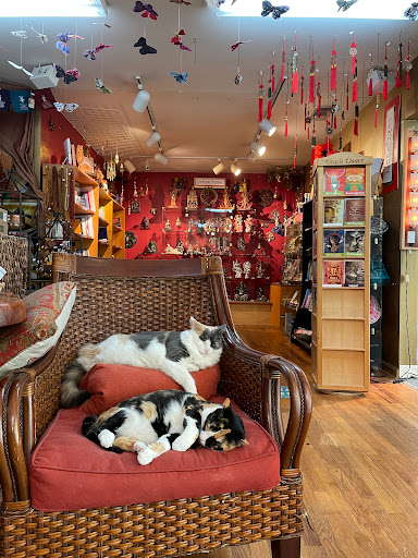 Book Store «Phoenix & Dragon Bookstore», reviews and photos, 5531 Roswell Rd NE, Sandy Springs, GA 30342, USA