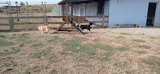 Residencia Canina La Burra Lola en San Vicente de la Sonsierra, La Rioja