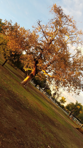 Park «Oak Knoll Park», reviews and photos, 9600 Graham St, Cypress, CA 90630, USA