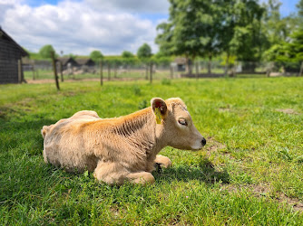 Nymarksminde Farmpark