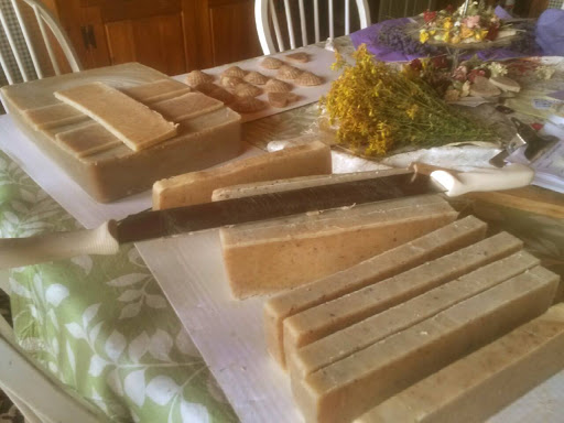 Farm «Greenleaf Farms», reviews and photos, 24 Littleworth Rd, Dover, NH 03820, USA