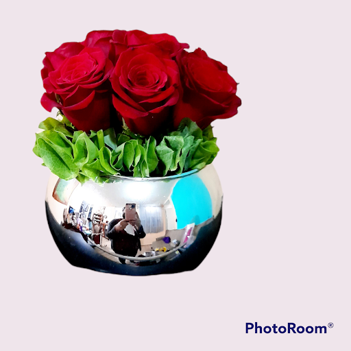 Florería Frisia