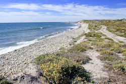 Praia de Antas'in fotoğrafı çok temiz temizlik seviyesi ile