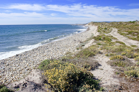 Praia de Antas