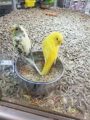 Pet Supply Store «Pet Supplies Plus», reviews and photos, 625 Southern Artery, Quincy, MA 02169, USA