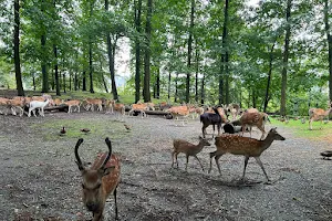 Deer Park Vejle image