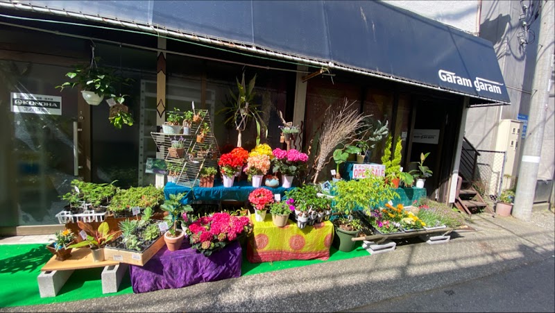 コノハ園芸店・魔女の庭 (多肉・塊根・盆栽・観葉植物・植木鉢)