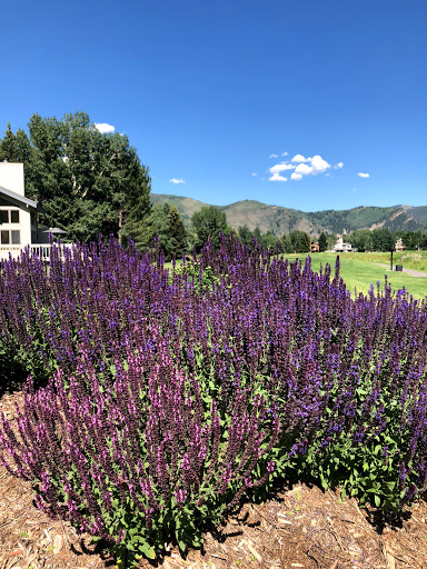 Golf Club «EagleVail Golf Club», reviews and photos, 459 Eagle Drive, Avon, CO 81620, USA