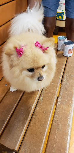 Pet Supply Store «PetSmart», reviews and photos, 139 Radio Dr, Stroudsburg, PA 18360, USA