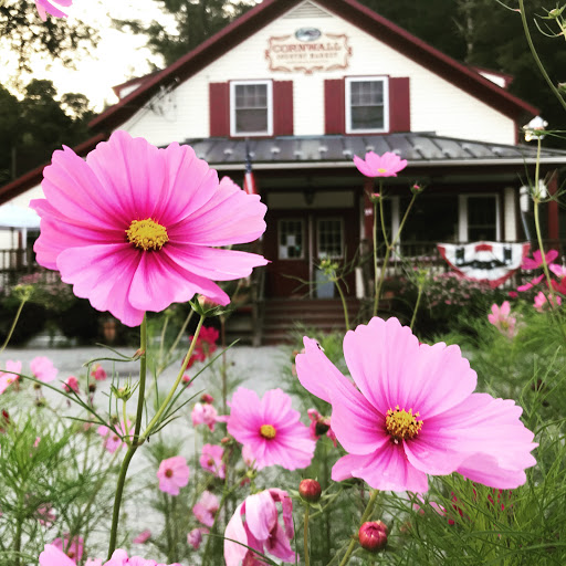 Grocery Store «Cornwall Country Market», reviews and photos, 25 Kent Rd S, Cornwall Bridge, CT 06754, USA