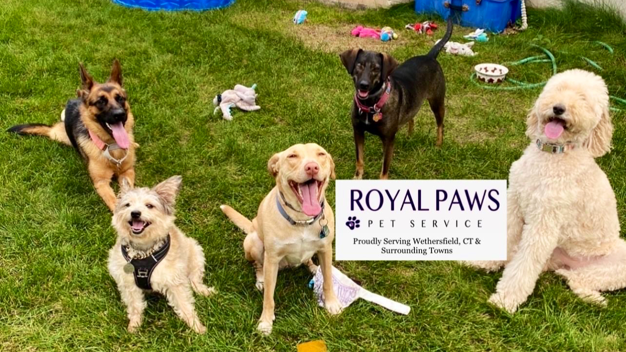 Royal Paws Pet Service LLC