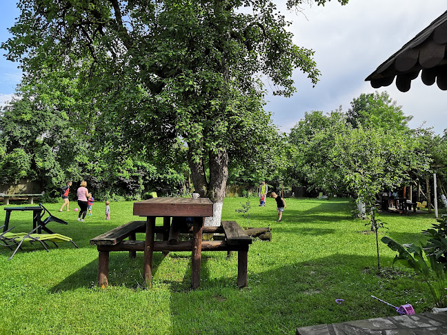 Dor de Aluniș - Ostrovu