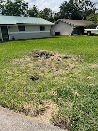 Coastal Trees and Landscaping LLC - Photo 9 - Car repair in , Palm Bay