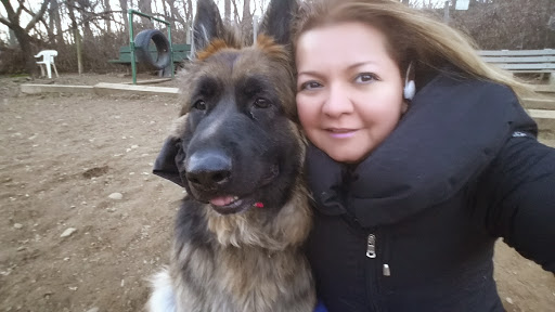 Dog Park «Forest Park Dog Run», reviews and photos, 8445 Park Ln S, Woodhaven, NY 11421, USA