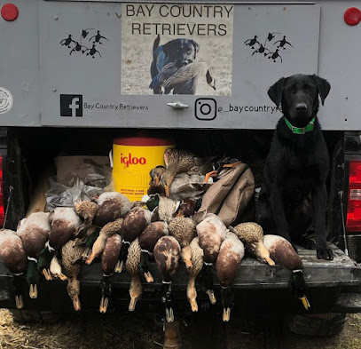 Bay Country Retrievers