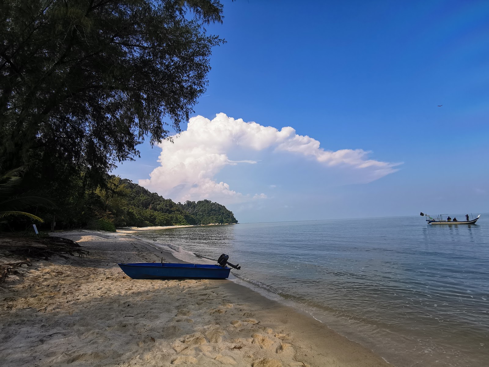 Foto von Teluk Kampi Beach - beliebter Ort unter Entspannungskennern