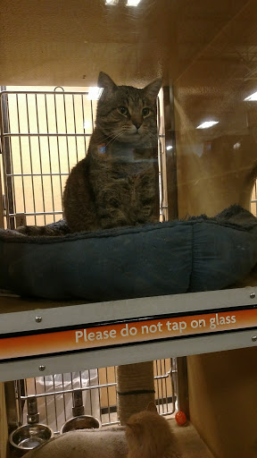 Pet Supply Store «PetSmart», reviews and photos, 10460 Town Center Dr, Westminster, CO 80021, USA