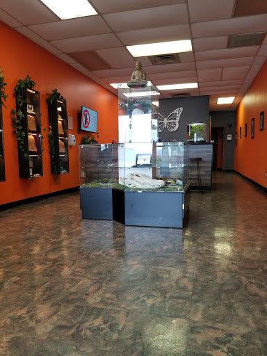 Explore small line work tattoo ideas, creative tattoo ideas in Chattanooga, available at Monarch Fine Jewelry Professional Piercing