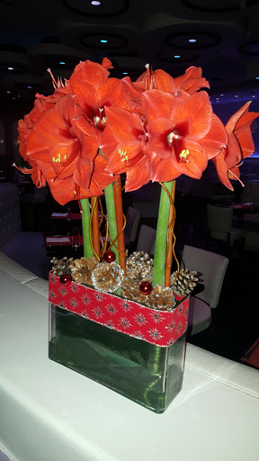 Latin American Restaurant «Silhouette», reviews and photos, 5668 Broadway, Bronx, NY 10463, USA