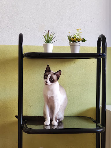 Centro Veterinario Meridiana en Barcelona