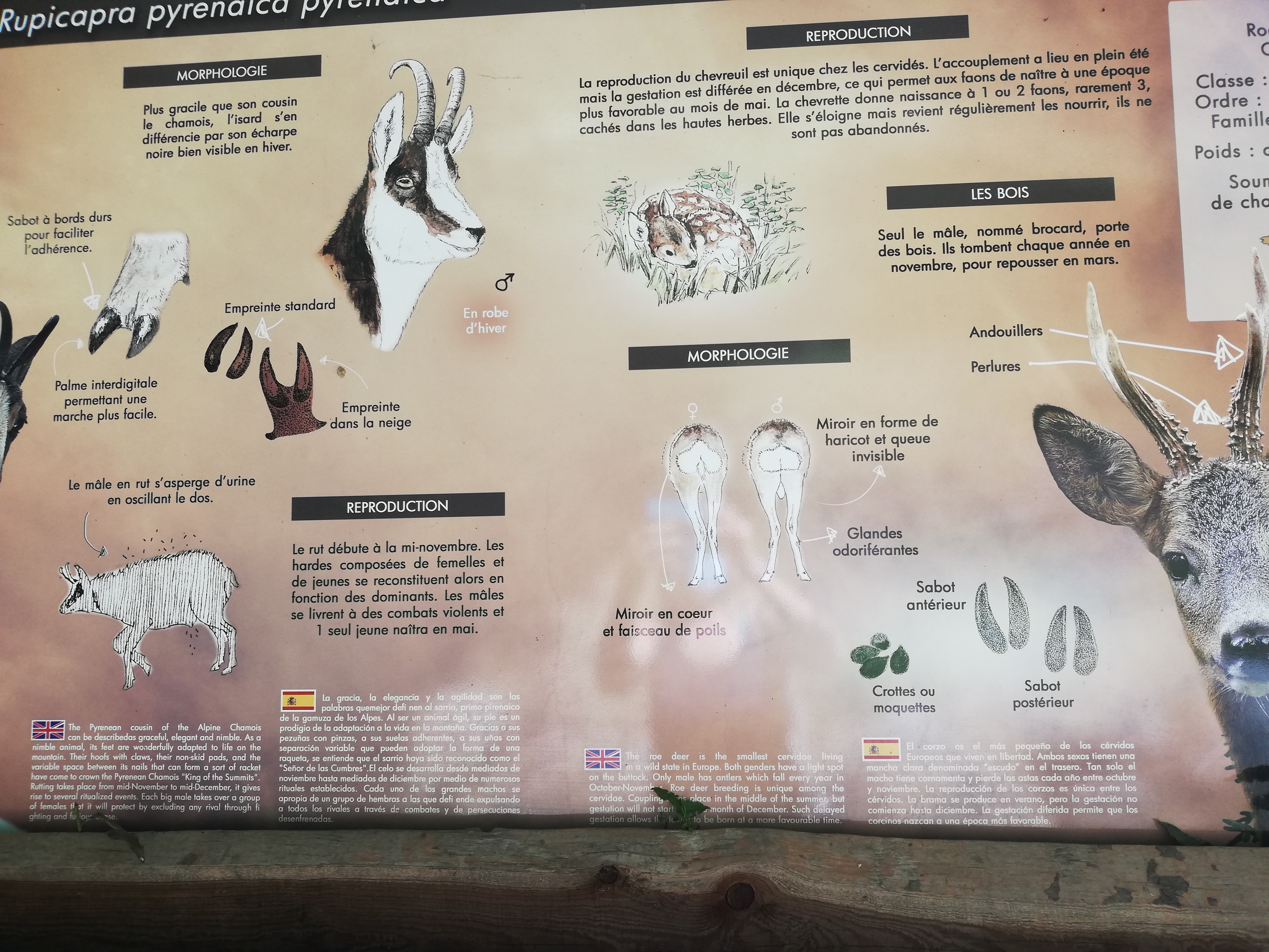 Photo n° 43 de l'avis de Soleil. fait le 20/08/2020 à 12:36