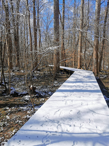 Nature Preserve «Hemlock Bluffs Nature Preserve», reviews and photos, 2616 Kildaire Farm Rd, Cary, NC 27511, USA