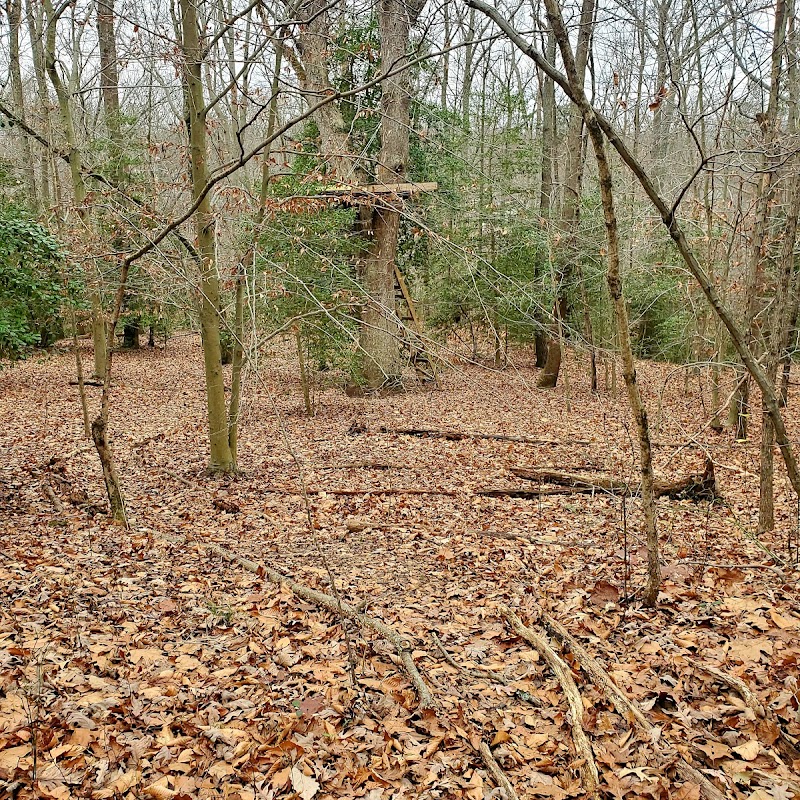 Forked Creek Trail